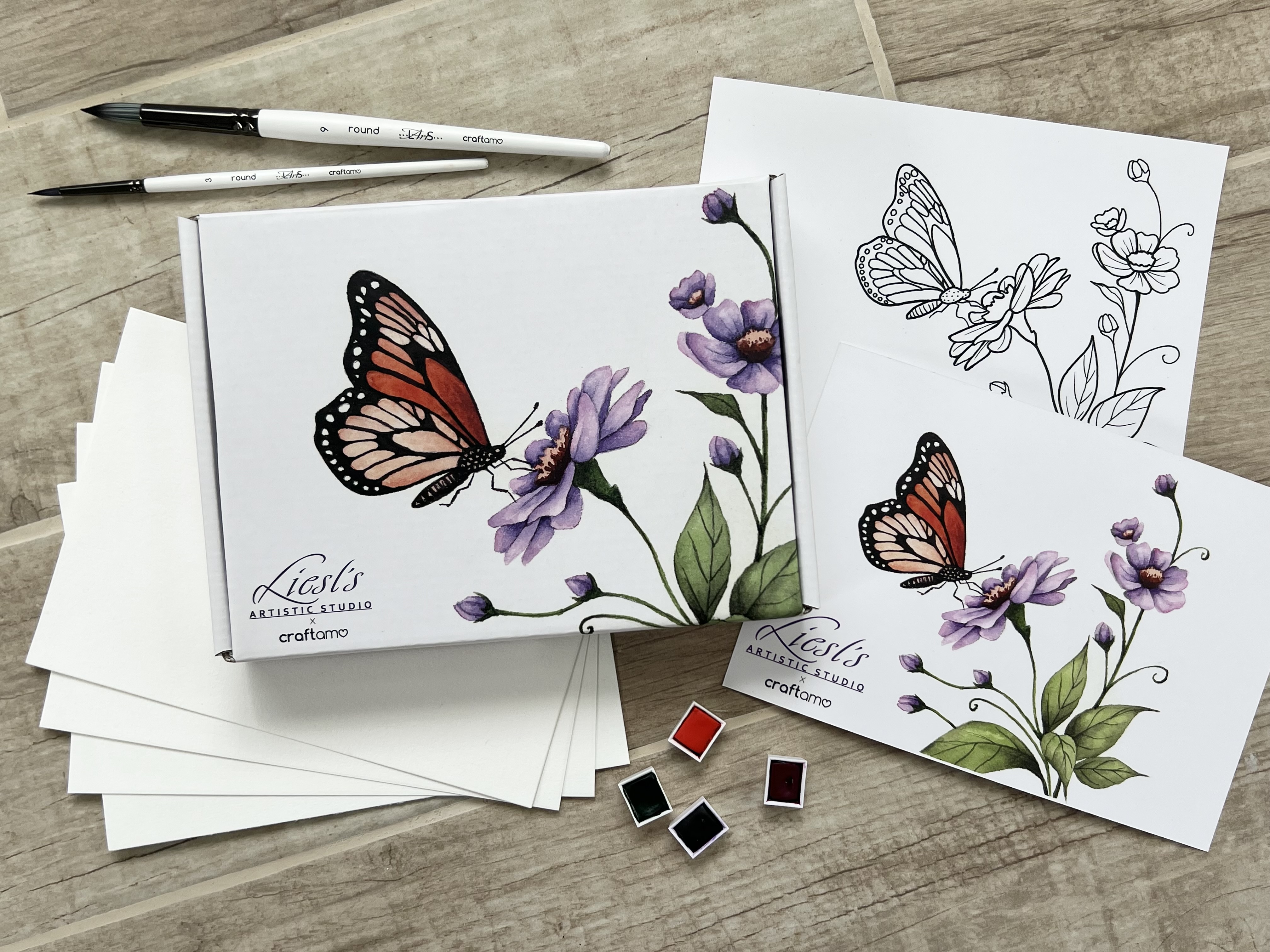Butterfly theme watercolor box contents